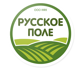 Разработка логотипа и фирменного стиля компании «Русское поле»